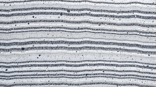 Migmatitic gneiss migmatite rock bands pattern grey light dark banded granite texture macro closeup textured silver gray horizontal background coarse grained feldspar quartz mica minerals gneissic