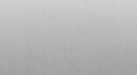 Obraz premium Silvered Stillness