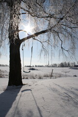 Swing in winter landscape