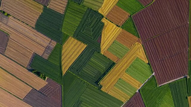 Agricultural landscape revealing colorful crop patterns with geometric fields spreading across rural terrain