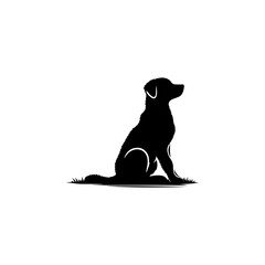 black dog on white background