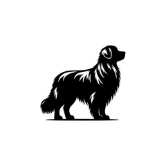 vector illustration of a black dog white background 