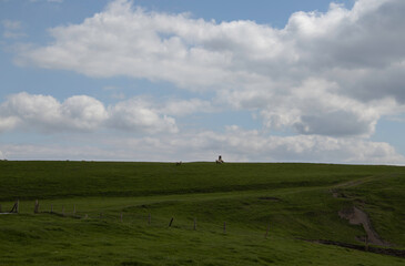 Life on the Cliffs of Moher, Ireland. Lush green grass and a calm day on the ocean. 