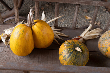 Pumpkins and corn cobs resting on vintage wooden cart © Richard Semik