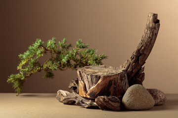 Composition with natural wooden snags, stones and juniper branches.