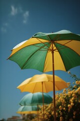 Colorful Umbrellas Under a Sunny Sky