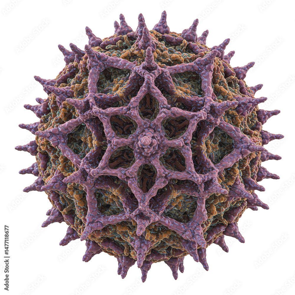 Fototapete detailed microscopic rendering of a spherical organic structure isolated