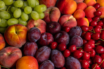 Fresh peaches, plums, cherries and grapes creating a colorful fruit composition