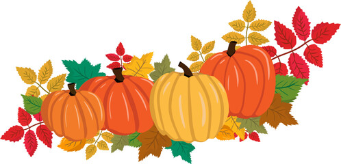 bright vector autumn linear element with pumpkins and leaves for designs and decor, colorful fall harvest graphic illustration