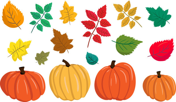 vector set of autumn elements colorful pumpkins and fall leaves, isolated graphic illustration collection for seasonal designs, thanksgiving and harvest themes