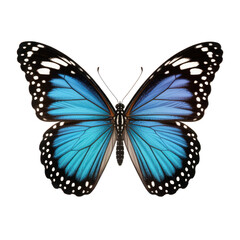 Blue butterfly with black and white spots on wings, isolated on transparent background