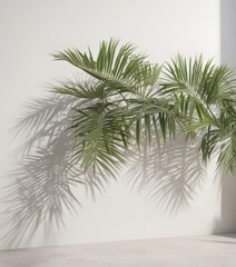 Obraz premium Crisp shadow of palm fronds on a bright white wall, tropical aesthetic, beach, element, graphic