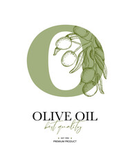 Olive oil design template. Olive leaves and branches vector drawing. Hand drawn label sketch.