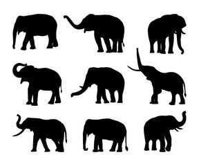 elephant animal silhouette collection set simple design