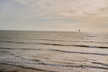 surfers at the beach at Essaouira city