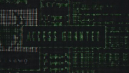 Digital Screen Showing Access Granted in Green Letters