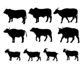 silhouette of sacrificial animals goat and cow on white background