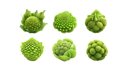 Fototapeta premium Six Varieties of Green Cauliflower and Romanesco Broccoli A Collection of Unique Vegetables