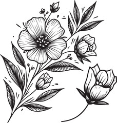 Line drawing of various flowers vector, clipart, transparent, png, element