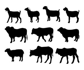 silhouette of sacrificial animals goat and cow collection