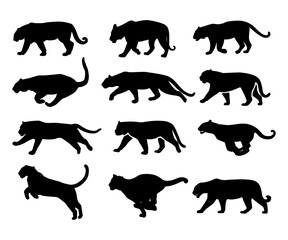 Collection Of Animal Tiger Silhouette on simple design