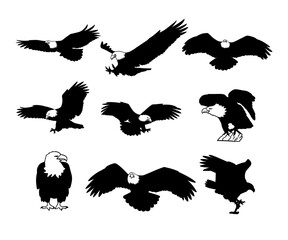 silhouette bird eagle collection set on white background