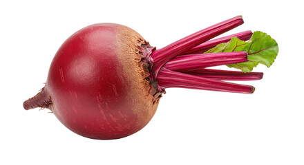 Fresh Red Beet with Stems and Leaves on White