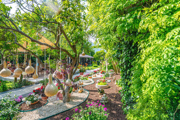 beautiful park and garden decoration with dried water pumpkins 