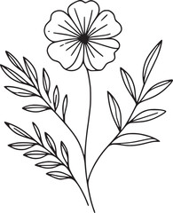 Adobe Illustrator ArtworkLine drawing of various flowers vector, clipart, transparent, png, element