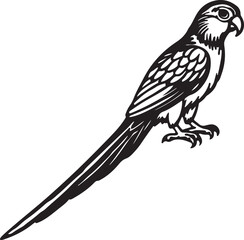 Elegant line art parrot sitting on a branch, perfect for exotic bird illustrations, wildlife posters, and nature-themed designs.