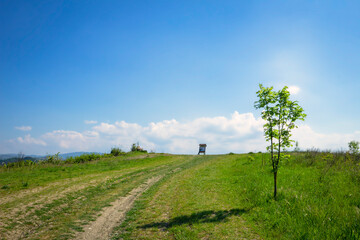 Springtime panorama of the hills range of Oltrepo Pavese. Is a winery area between Lombardy, Emilia...