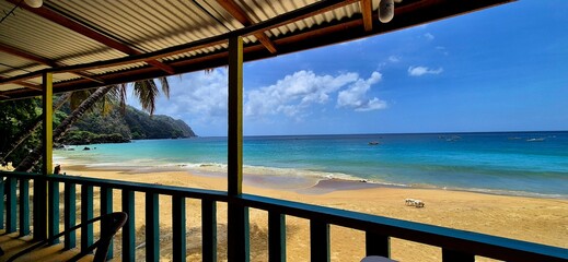 Two white dogs walking on the yellow sand beach of blue green Caribbean sea under the blue sky. Trinidad and Tobago, Tobago, Castara, March 27, 2025.
