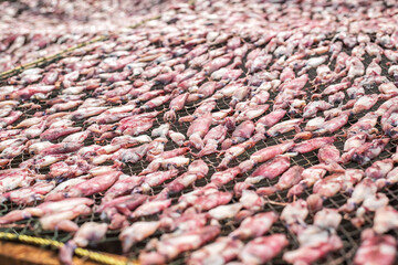 Fresh squids in the sun.