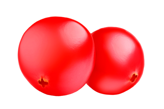 crane on transparent backgrounds