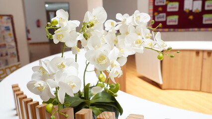Elegant White Phalaenopsis Orchids in Bloom