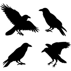 Silhouette vector illustration of four crows in various poses, including flying, perching, and landing, rendered in solid black on a white background for bold visual impact.
