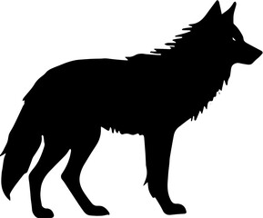 wolf vector illustration
