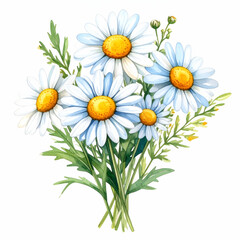 Fototapeta premium Daisy Bouquet: A vibrant watercolor painting showcasing a charming arrangement of fresh, white daisies with yellow centers, surrounded by lush green foliage.