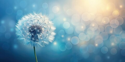 Softly glowing blue dandelion flower against a subtle gradient background with gentle wisps of white and cream colors blending seamlessly together , peaceful, flowers