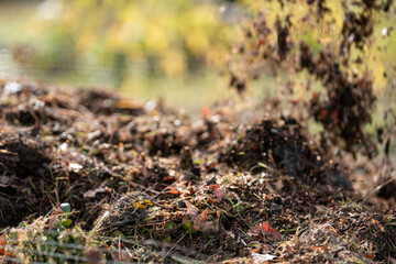 female farmer turning a compost pile in a community garden. compost full of microorganisms....