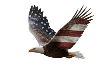 Eagle Flag 4th of July PNG