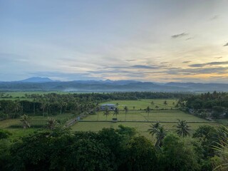 Peaceful rural scenery at sunrise with green rice fields, trees, hills and mountains in the...