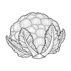 ‎A black and white cauliflower illustration line art of a coloring page