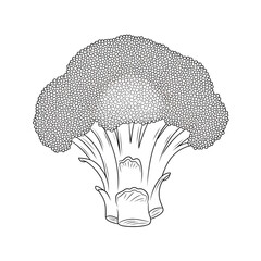 ‎A black and white broccoli illustration line art of a coloring page