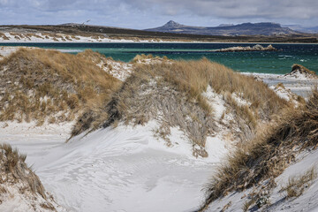Sand dunes at Yorke Bay, Falkland Islands, South Atlantic	