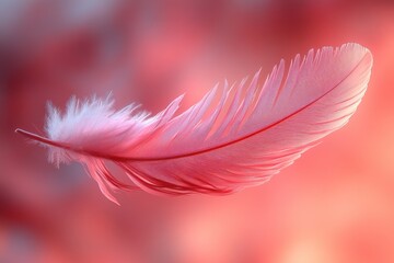 Naklejka premium Gentle feather in flamingo pink, mid-air with ambient softness, floating in air, natural light, soft ambient style, macro texture, symbolic feather set