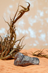 Desert landscape with a dry tree, rocks, and a cloudy sky. 3d rendering