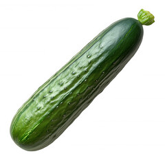 Single Fresh Cucumber on Transparent Background