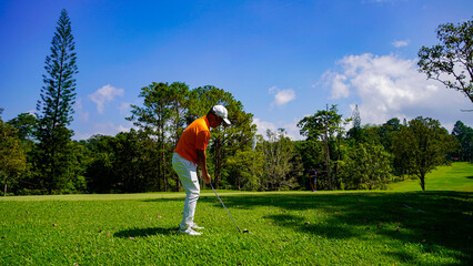 Golfer playing golf in the evening golf course, on sun set evening time.