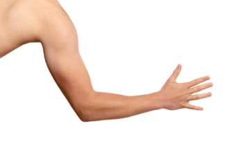 Male arm of caucasian young man muscles close-up. Male hands extended forward to shake hand, palm view, png, isolated on transparent background. fist expressing strength and power